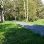 Nariseva Puulattia! *