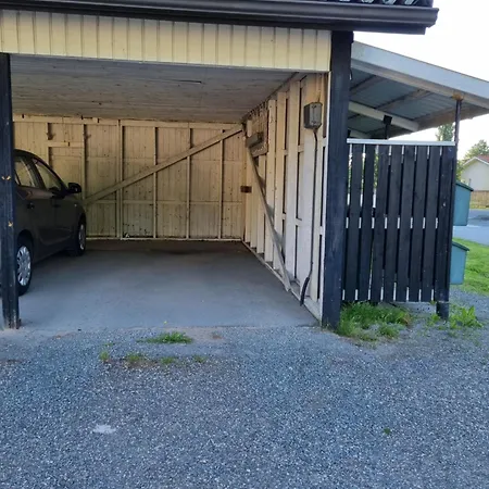 Paeaetyhuoneisto: Nariseva Puulattia!